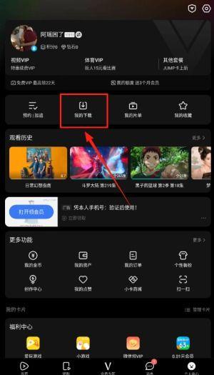 secretsinlace在线视频,一场视觉与情感的交织之旅