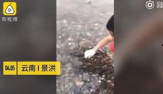 偷去在线视频,偷去在线视频的黑色产业链