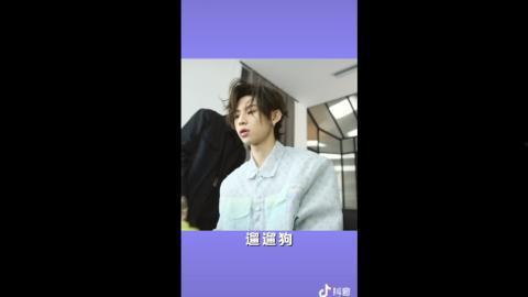 三宫椿生在线视频,揭秘宫廷秘史，探寻古代宫廷生活